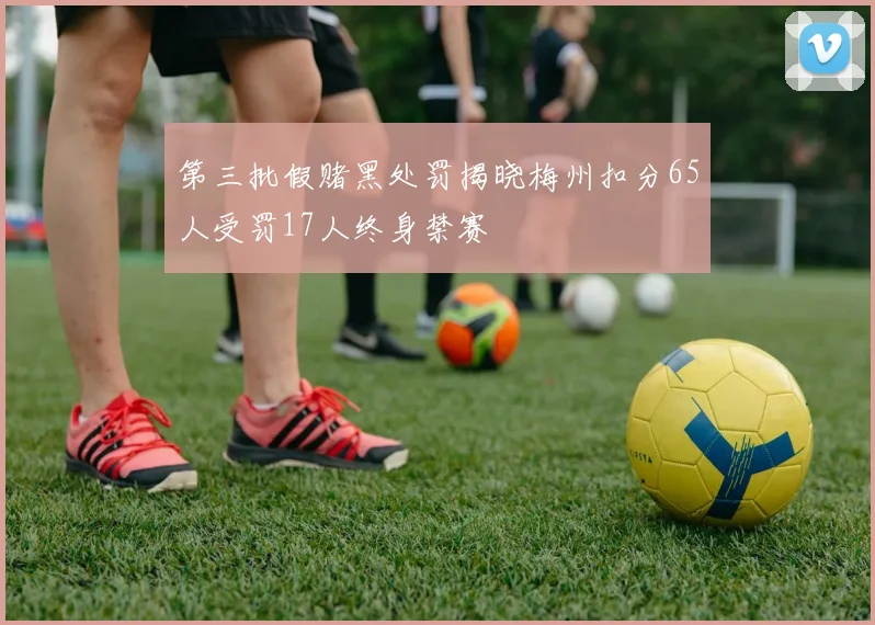 第三批假赌黑处罚揭晓梅州扣分65人受罚17人终身禁赛